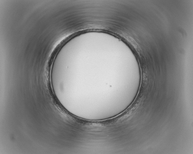 X0000116041119200912041806