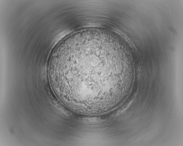 X0000116041121200912041806