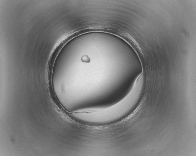 X0000116041122200912041806