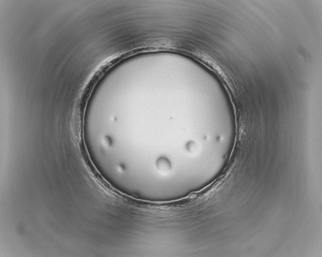 X0000116041123200912041806