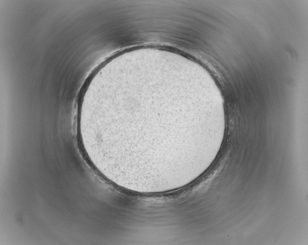 X0000116041126200912041806