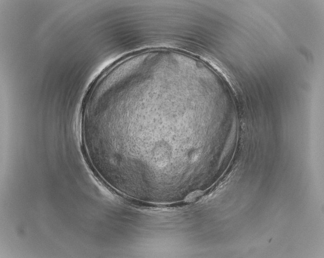 X0000116041127200912041806