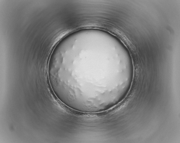 X0000116041129200912041806