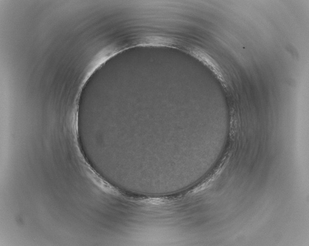 X0000116041130200912041806