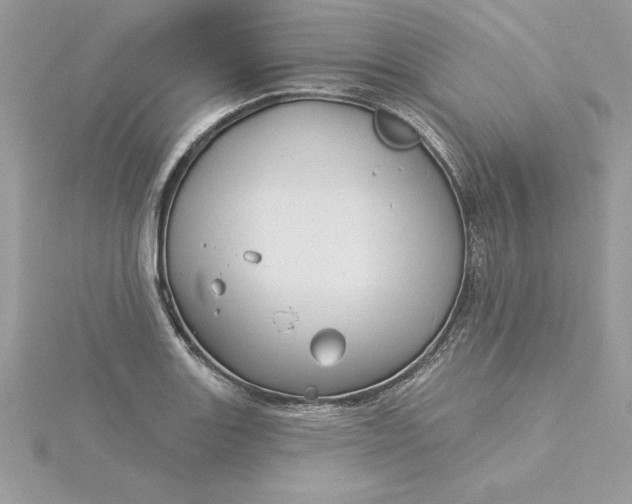 X0000116041131200912041806