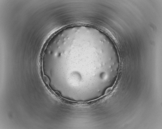 X0000116041133200912041806