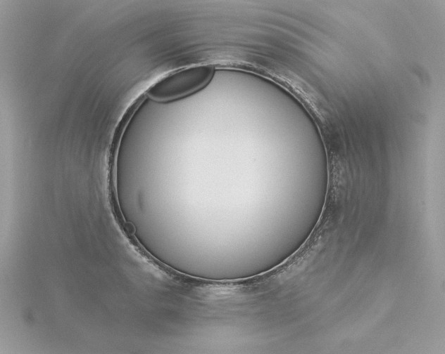 X0000116041134200912041806