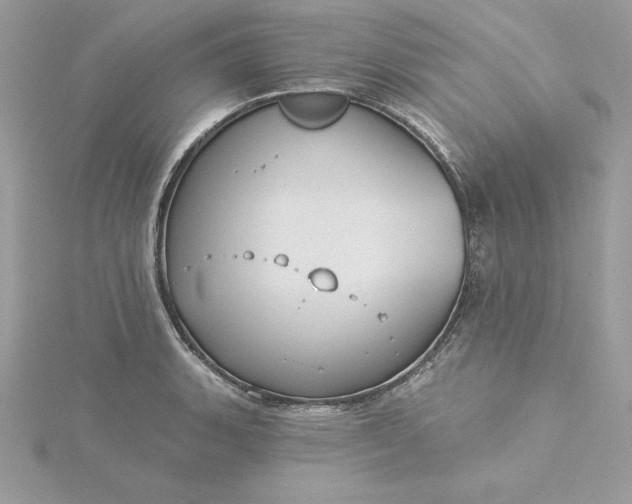 X0000116041135200912041806