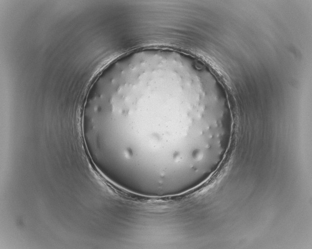 X0000116041137200912041806