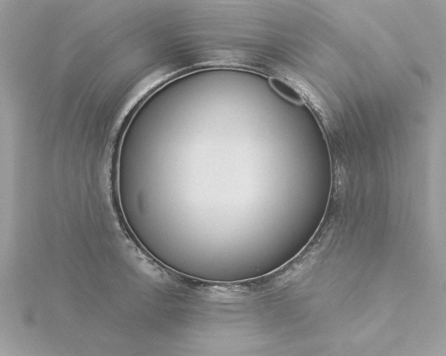 X0000116041138200912041806