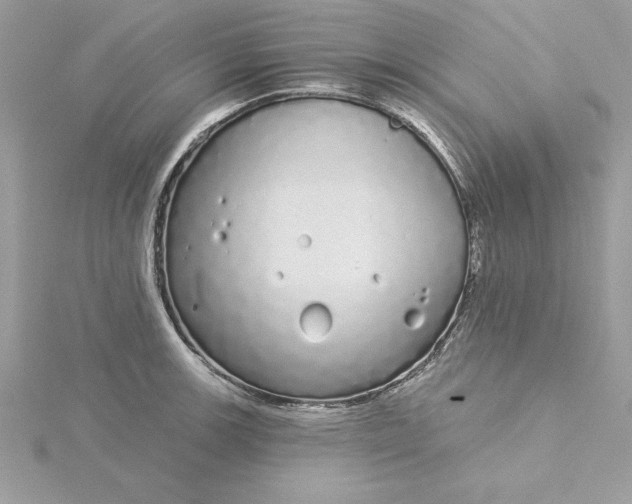 X0000116041139200912041806