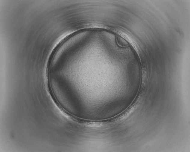 X0000116041141200912041806