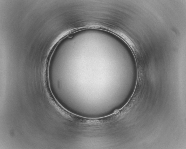 X0000116041142200912041806