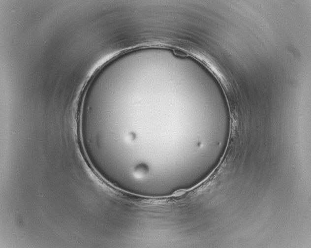 X0000116041143200912041806