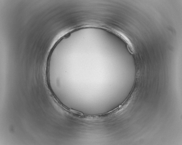 X0000116041146200912041806