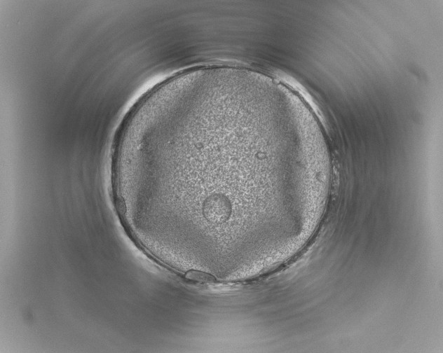 X0000116041147200912041806