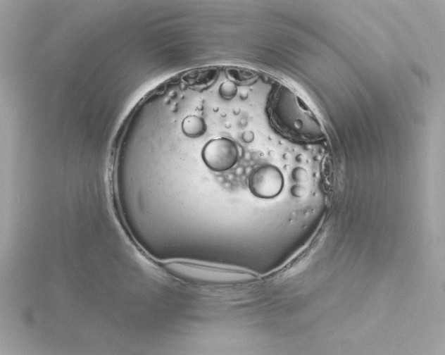 X0000116041149200912041806