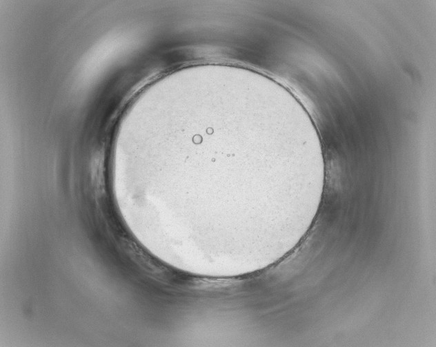 X0000116041150200912041806