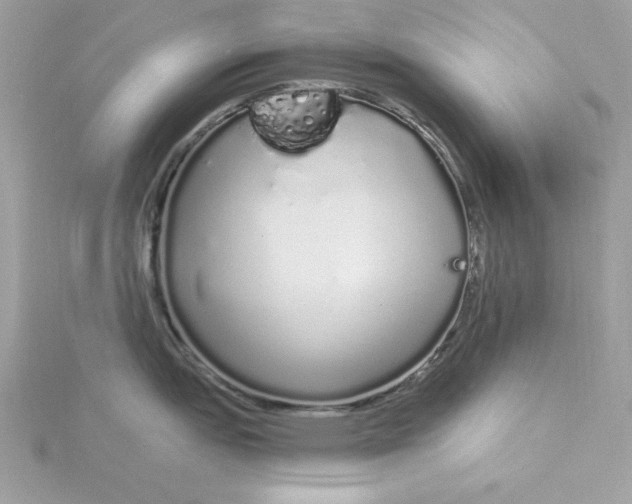 X0000116041151200912041806