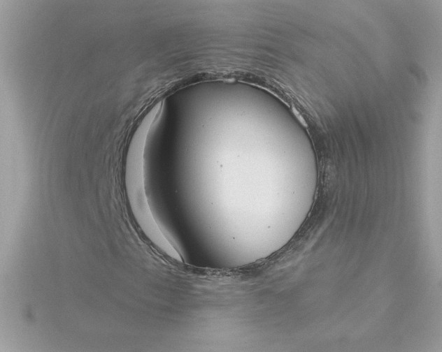 X0000116041153200912041806