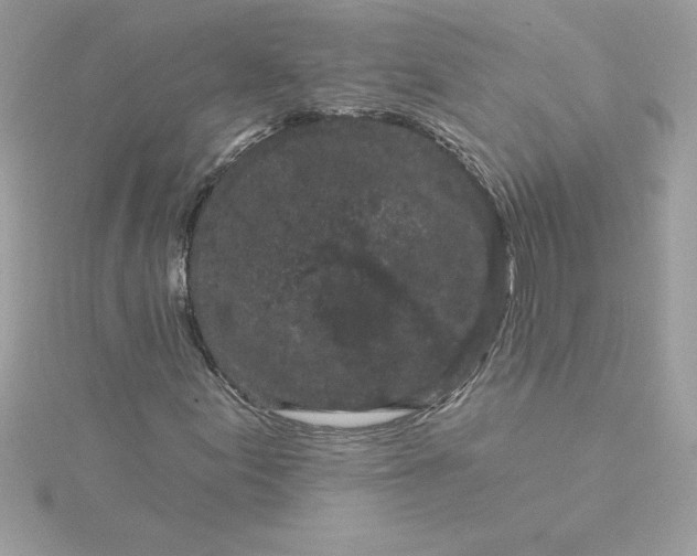 X0000116041155200912041806