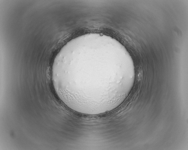 X0000116041156200912041806