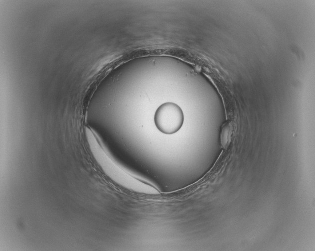 X0000116041157200912041806