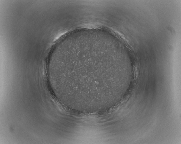 X0000116041158200912041806