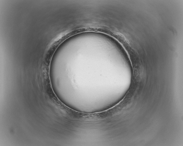 X0000116041159200912041806