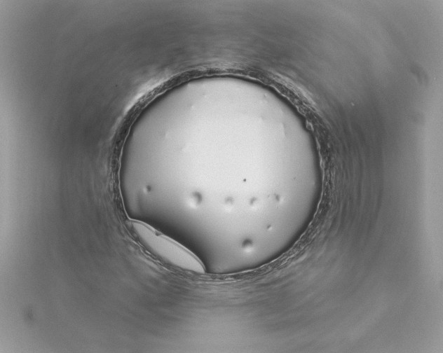 X0000116041160200912041806