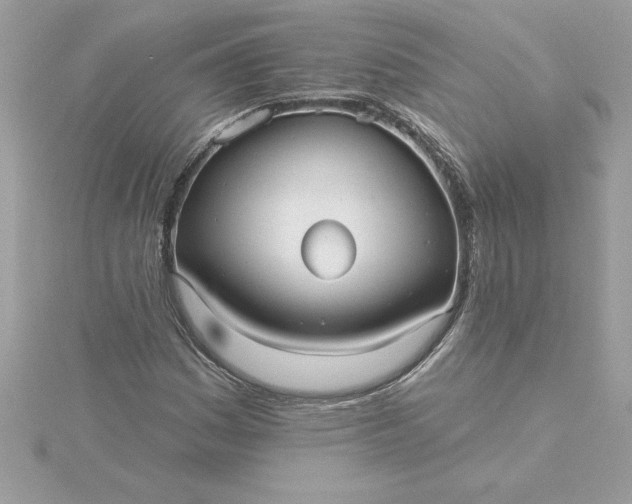 X0000116041161200912041806