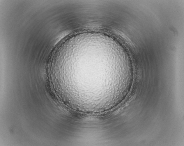 X0000116041162200912041806