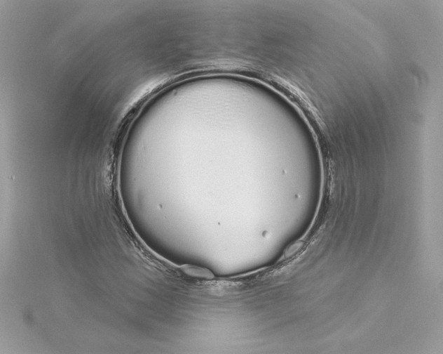 X0000116041163200912041806