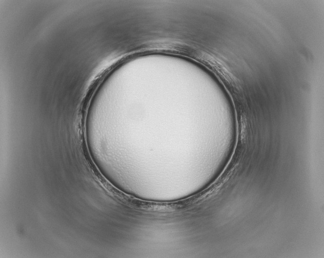 X0000116041164200912041806