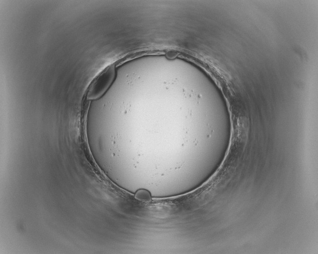 X0000116041165200912041806