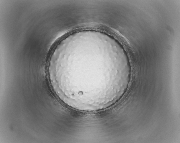 X0000116041166200912041806