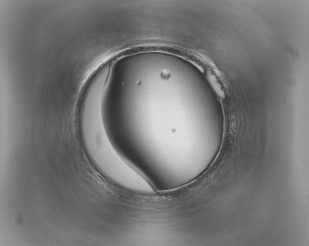 X0000116041167200912041805