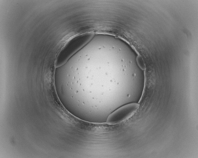 X0000116041169200912041805