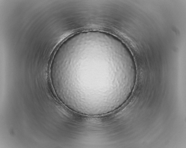 X0000116041170200912041805