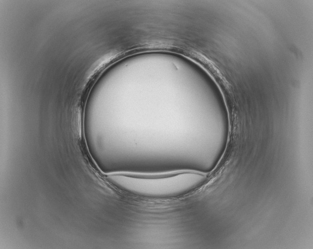 X0000116041171200912041805