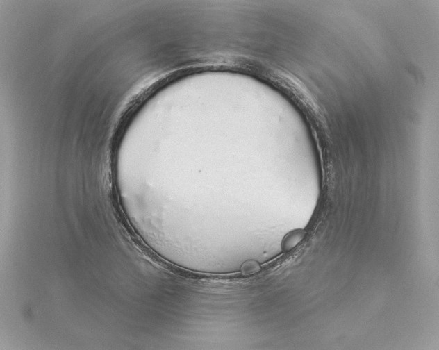 X0000116041172200912041805