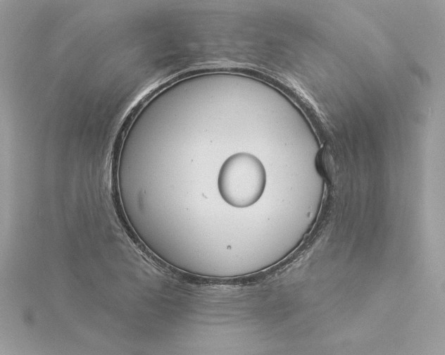 X0000116041173200912041805