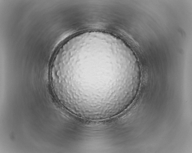 X0000116041174200912041805