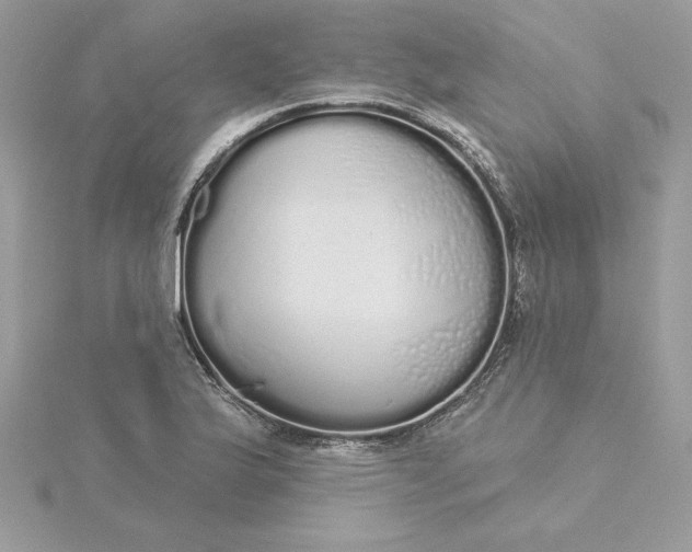 X0000116041175200912041805