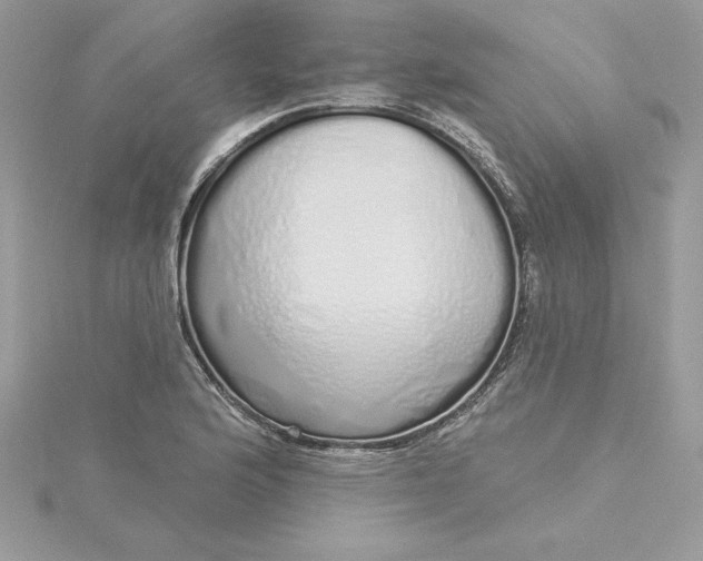 X0000116041176200912041805