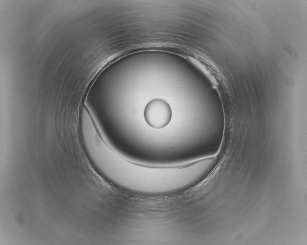 X0000116041177200912041805