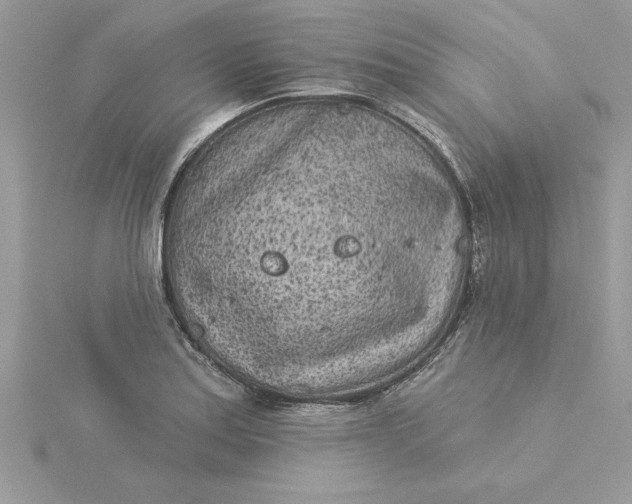 X0000116041179200912041805