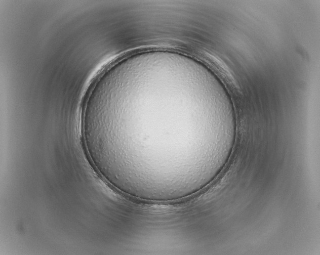 X0000116041180200912041805