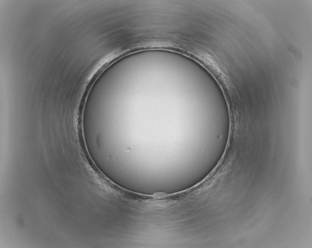 X0000116041181200912041805