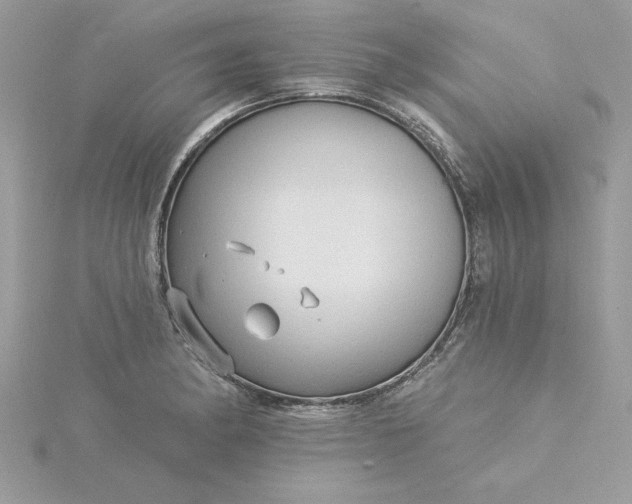 X0000116041182200912041805